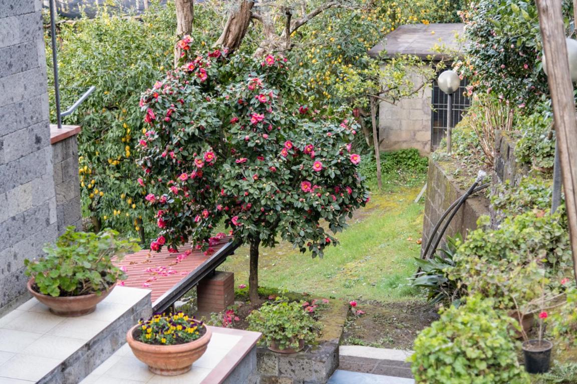 Sorrentovibes - Sea View Rooftop Apartment With Jacuzzi & Garden Exteriér fotografie