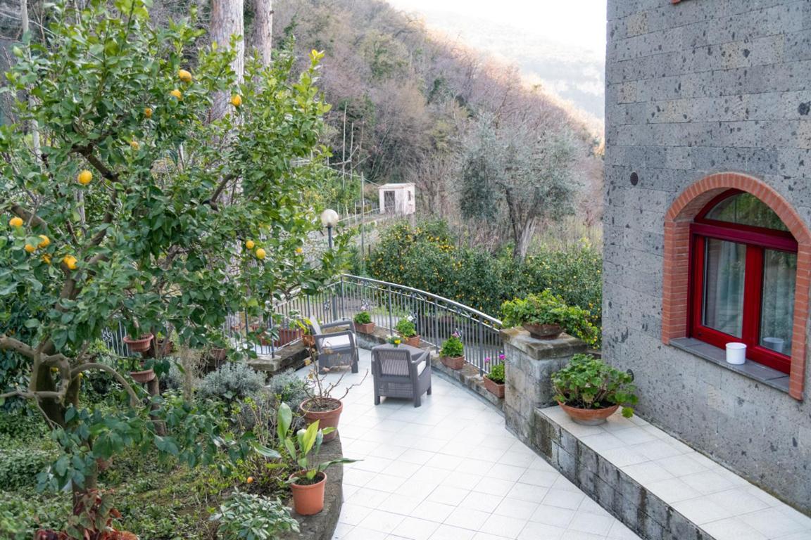 Sorrentovibes - Sea View Rooftop Apartment With Jacuzzi & Garden Exteriér fotografie